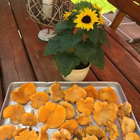 Szálloda Kunzental Zorge