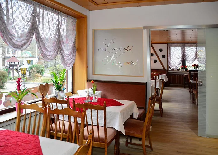 فندق Kunzental Zorge